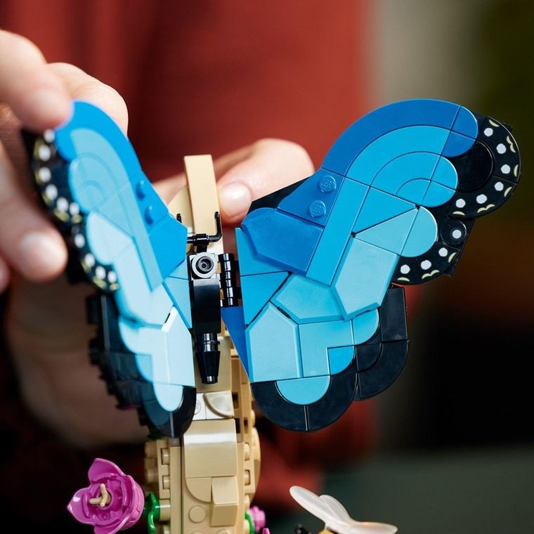 LEGO Ideas, Colectia de insecte, 21342