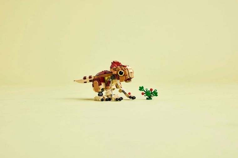LEGO Jurassic World, Puiul de dinozaur Dolores: Aquilops, 76970