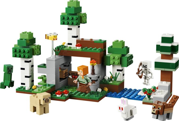 LEGO Minecraft, Prima aventura pe timp de noapte, 21593