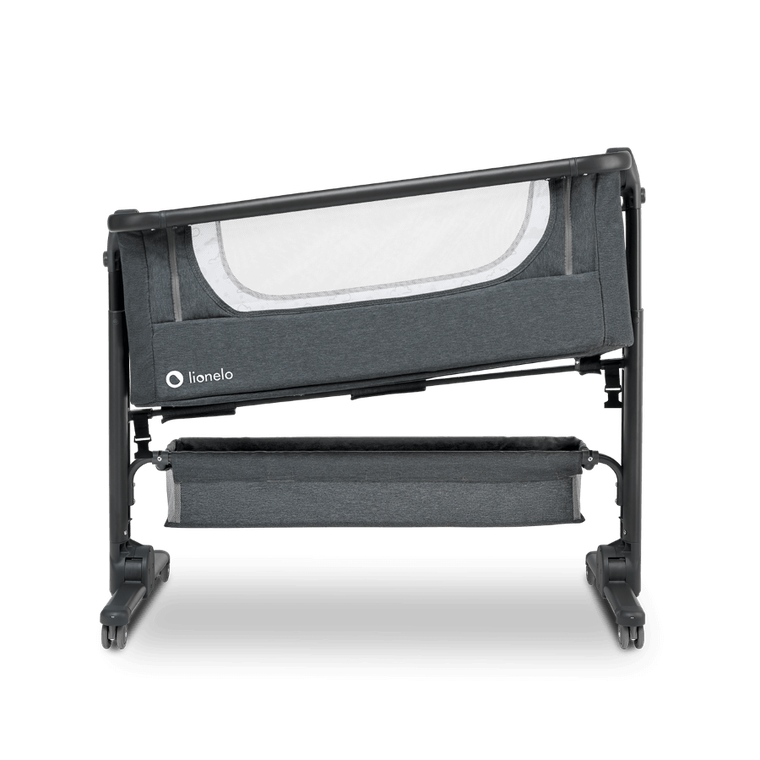 Lionelo, Timon, patut suplimentar, graphite