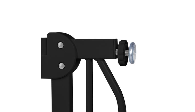 Lionelo, Truus, Slim, poarta de siguranta, Black Carbon Natural