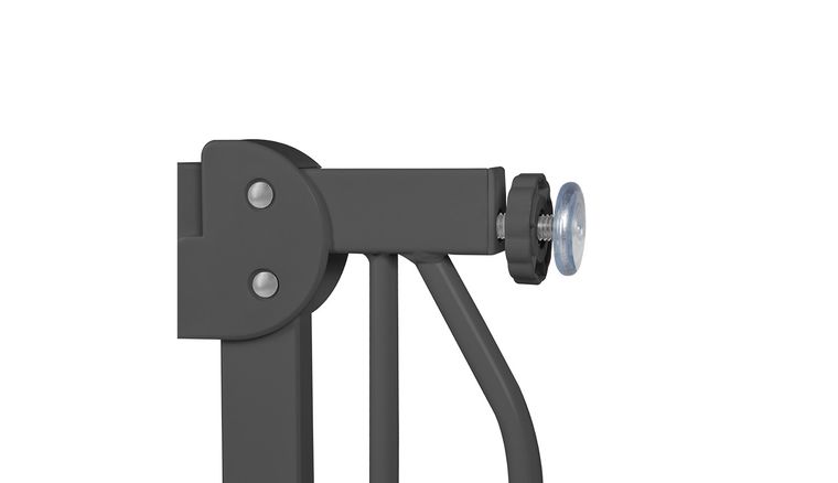 Lionelo, Truus, Slim, poarta de siguranta, Grey Graphite