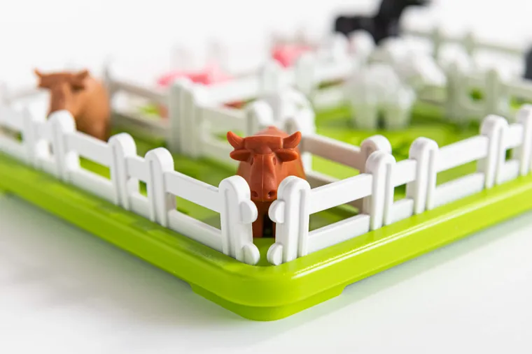 Smart Games, Animalutele de la tara, joc de logica