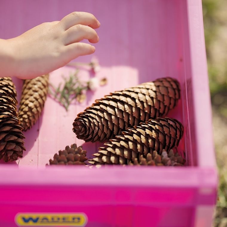 Wader, carut - remorca, roz, 95 cm