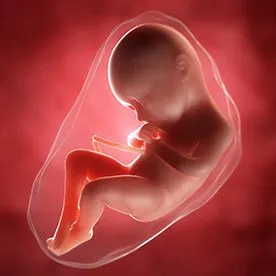 Saptamana 36 de sarcina – ultimele pregatiri pentru nastere